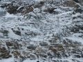 IMG_1035