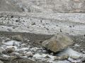 Cały lodowiec pokryty był kamieniami, które oderwały się od ścian Uszby.